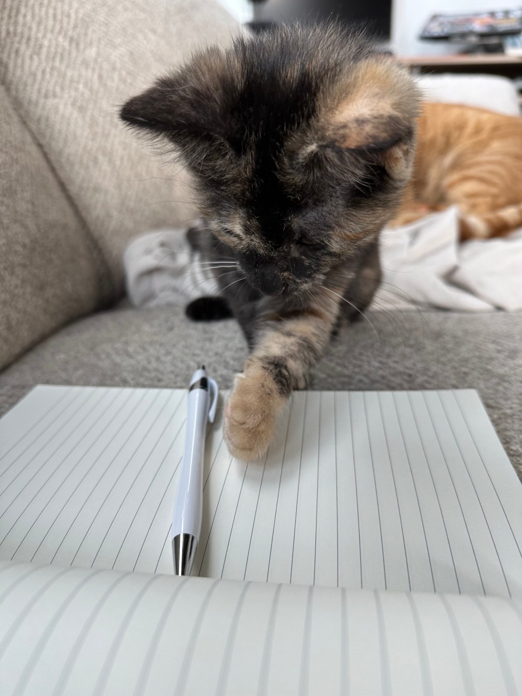 Learning to Accept My Own&nbsp;Writing