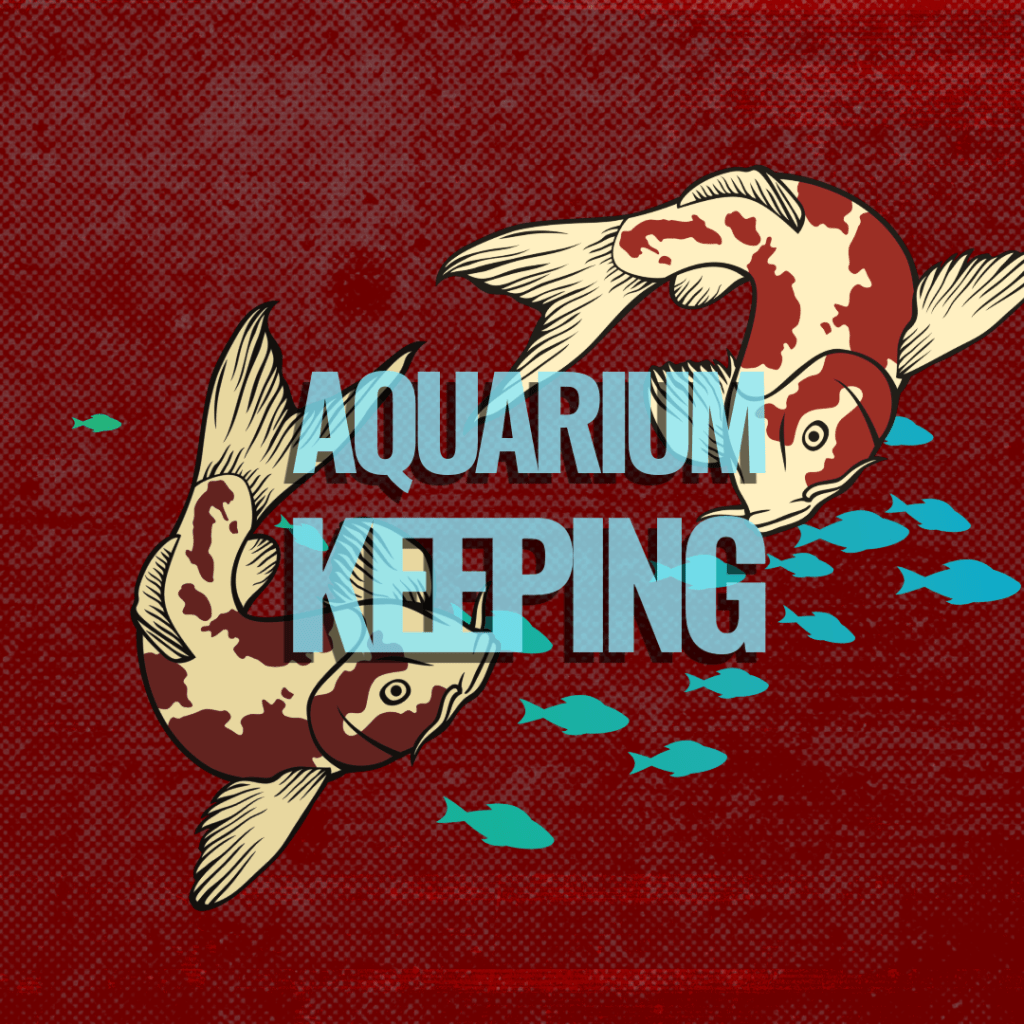 Fishes as a Key to&nbsp;Happiness